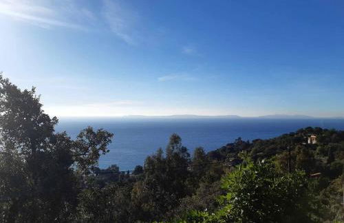 Villa neuve vue mer et îles d'Or - Foto 2