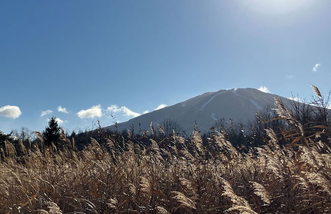 Cottage Alice - Foto 46