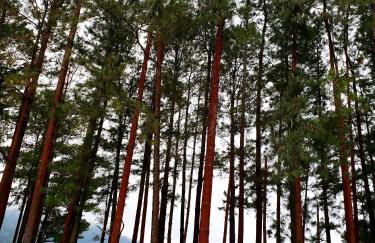 Aldeia dos reis - Condado - Mangaratiba - Loft 405 bl 3 - Foto 48