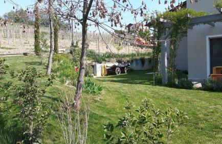 Casa Nalin - Photo 42