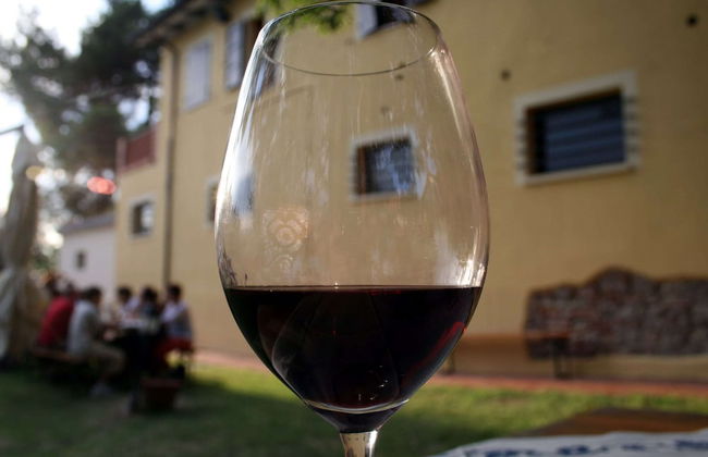 Holiday Home Monte Colombo Wine & Culture - Foto 14