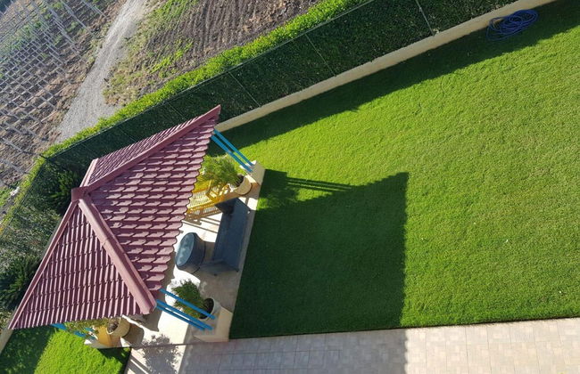 Amazing House at La Isabela - Photo 8