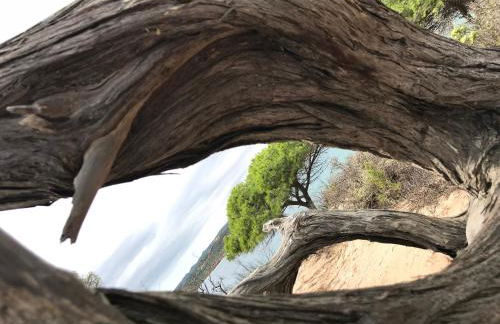 villa CASA TOTTI vue mer avec piscine - Foto 7