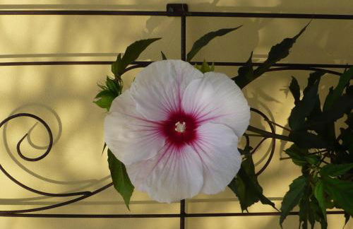 Relaxa at a Luxurious Villa in Bad Pyrmont - Foto 55