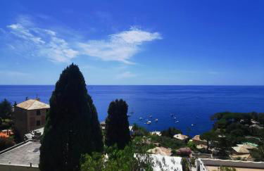 MareNostrum - Photo 4