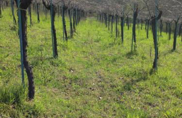 Locanda Marzi - Foto 54