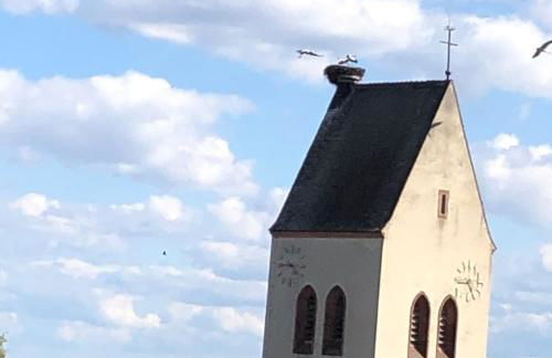 Gite Au Nid de Cigognes - Foto 8