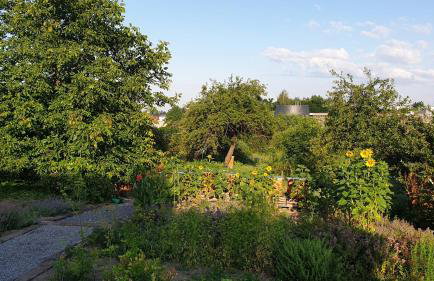 Agroturystyka u Joli - Foto 8