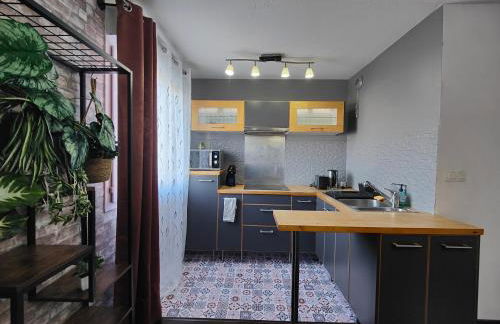 Cocoon'Inn Blagnac - Foto 4