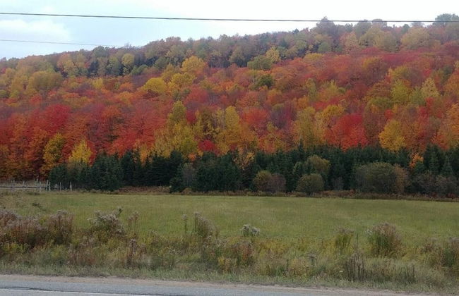 Chalet Newlife007 per Famiglia in una Posizione Molto Tranquilla Nella Regione m - Foto 29