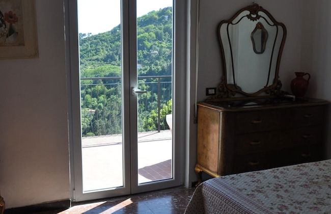 Oliva Azzurra - Foto 2