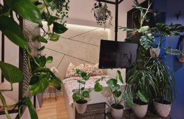 Magic House Apartament Proszowska 58 II - Foto 15