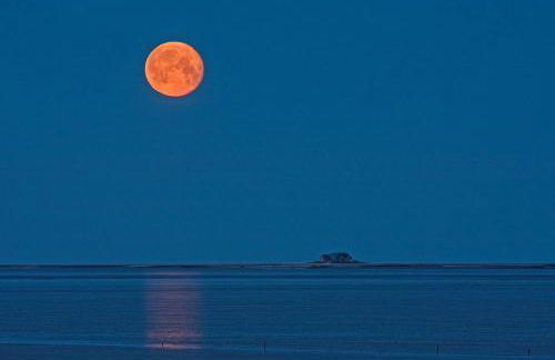 Ferienwohnungen am Aussendeich Wohnung 1 - Photo 17