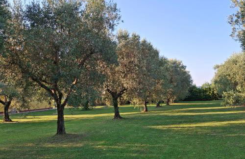 Agriturismo Podere 329 - Foto 15