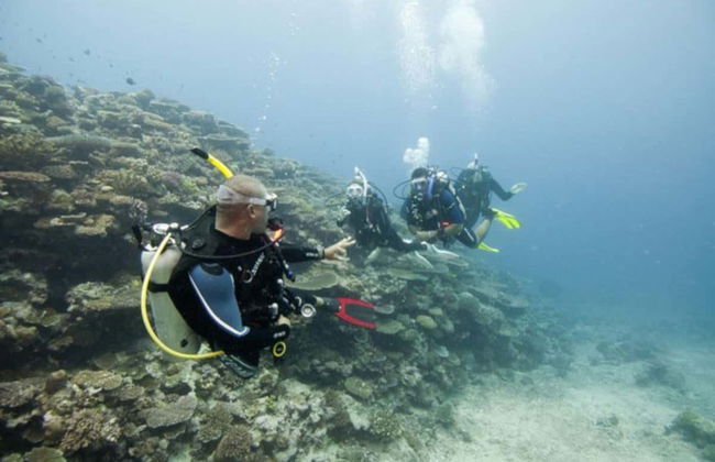 Bautismo de buceo en Nilaveli - Foto 3