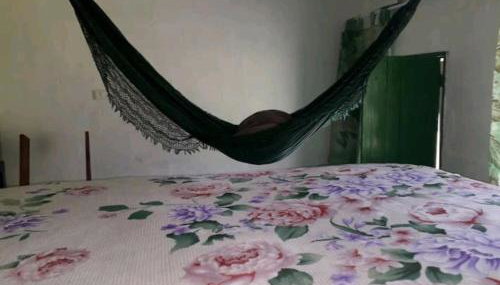 Celeiro Verde - Foto 4