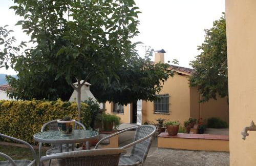 El racó del Puig - Foto 27