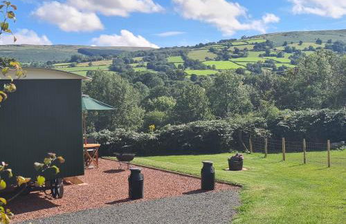 Shepherd's Hut in heart of the Brecon Beacons - Photo 30
