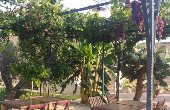 MASSERIA LA MAESTA' 1511 - Foto 26