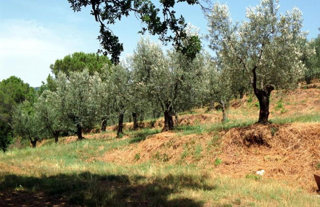 Farmhouse in Tuscany With Panoramic Pool - Photo 37