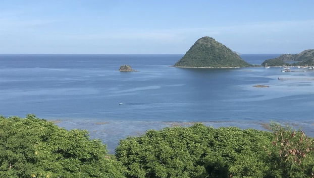 Terraço/pátio interior
