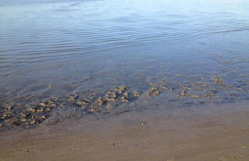 Ferienwohnung An Bord - Foto 25