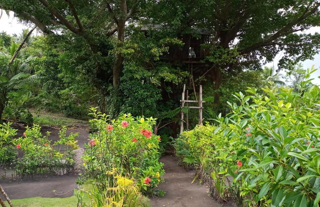 Castle Tree House - Photo 39