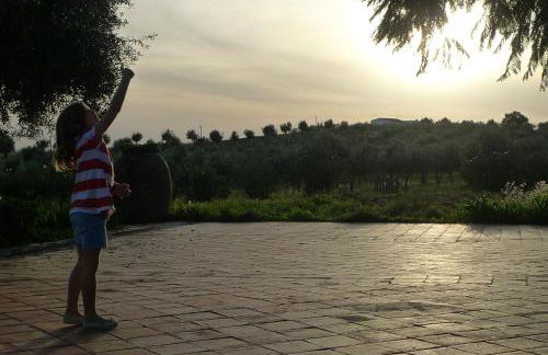 Casa de Campo, Quinta do Funchal - Foto 26