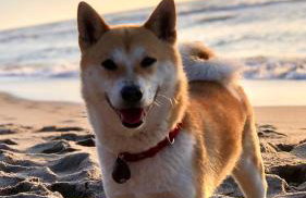 Mielno Enklawa 28 - Foto 14