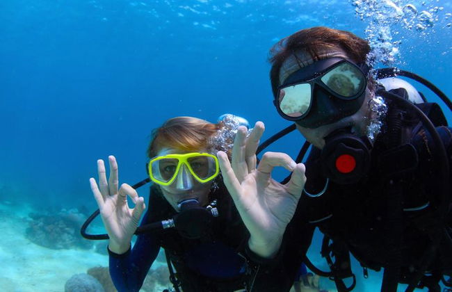 Mergulho com Snorkel em Bodrum - Tour de Dia Inteiro - Foto 4