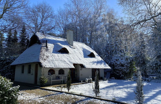 Ferienhaus Boschhuys - Foto 35