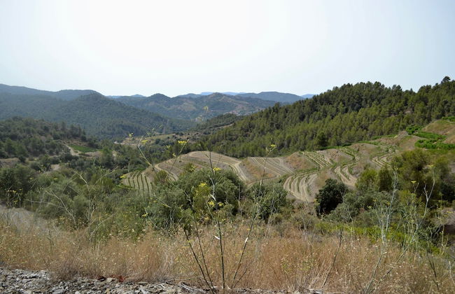 Cal Campana - Adults Only - Photo 47