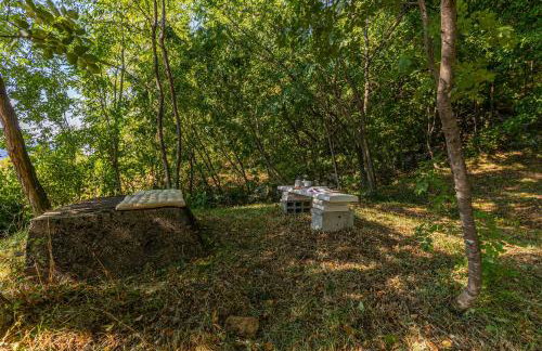 Vinodol hilltop Vila 21 - Foto 43