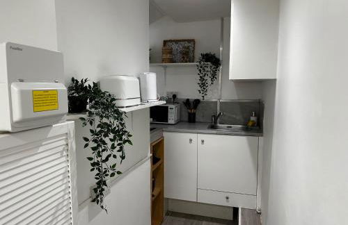 Plumstead one bed studio flat - Foto 7
