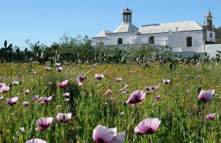 Finca Lanzarosy - Foto 10