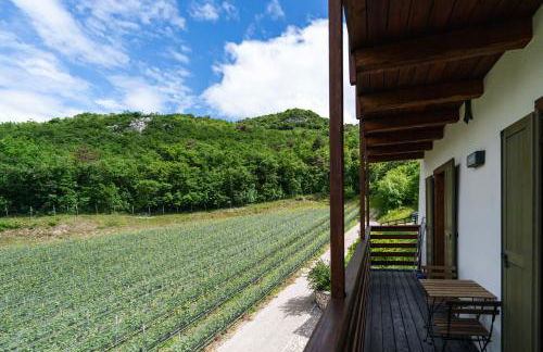 Maso Salim Relax Apartments - Photo 54