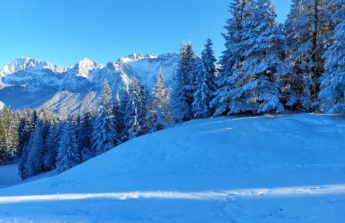 Haus Sonnenruh - Foto 35