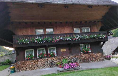 Schwarzwaldferienwohnung Oberle - Foto 6