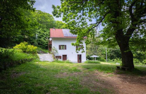 La perla nella foresta - Photo 17