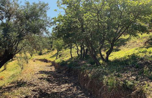 Olive Guest Farm - Foto 61