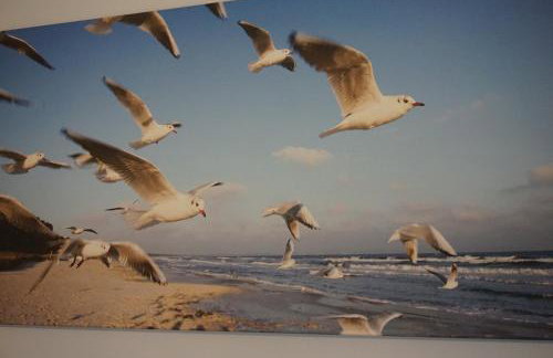 Apartamenty i Domki Osińscy - Foto 62