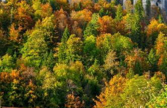 Charmant Studio idéalement situé - Foto 13