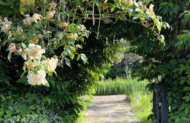 Charming Garden Retreat in Pedrogao Grande - Foto 27