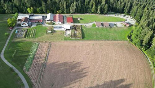 Blockhaus Almhütte Wiesenglück - Foto 4