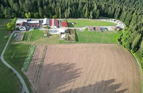 Blockhaus Almhütte Wiesenglück - Foto 4