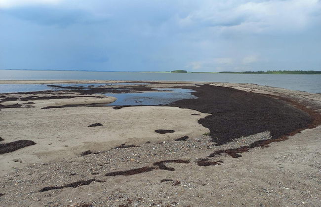 6 Person Holiday Home in Thyholm - Foto 14