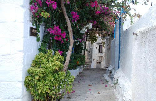 Christin P. Cute home with patio - Foto 70