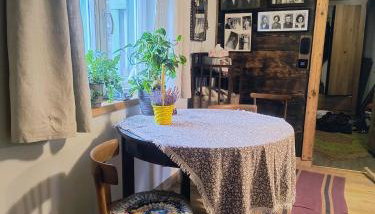 Gospodarstwo agroturystyczne alpaki Pituchówka - Foto 4