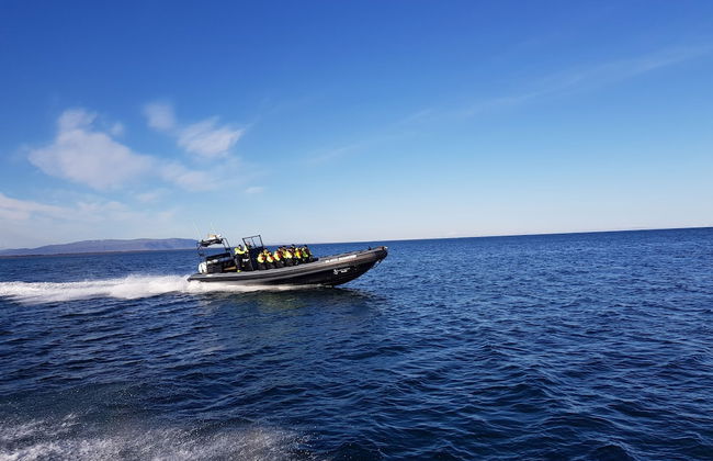 Black beach cottage - Foto 25