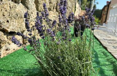 Villa Lollo - Photo 7